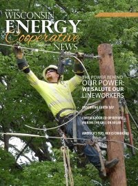 Linemen working in trees