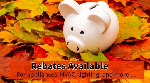 Rebates available