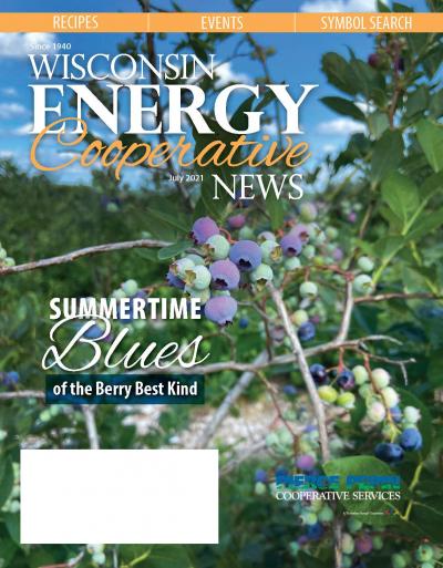 Wisconsin Energy Cooperative News - July 2021 local pages