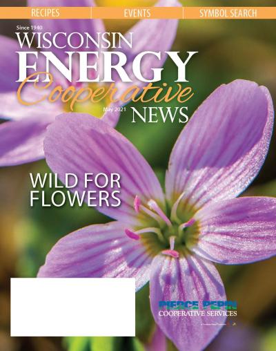 Wisconsin Energy Cooperative News - May 2021 local pages